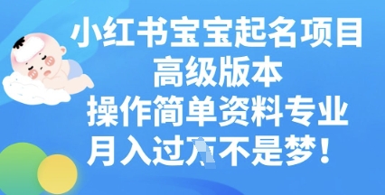 小红书宝宝起名项目高级版本，操作简单，资料专业，月入过W-逐梦终点站