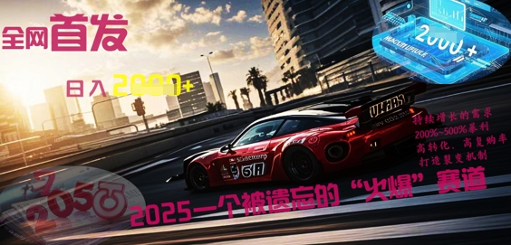 全网首发：2025一个被遗忘的“火爆”赛道轻松日入多张-逐梦终点站