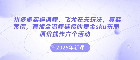 拼多多实操课程，飞龙在天玩法，真实案例，直播全流程链接的黄金sku布局原价操作六个活动-逐梦终点站