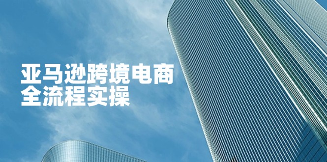 （14252期）亚马逊跨境电商全流程实操，教你从零开始，掌握店铺运营与广告技巧-逐梦终点站
