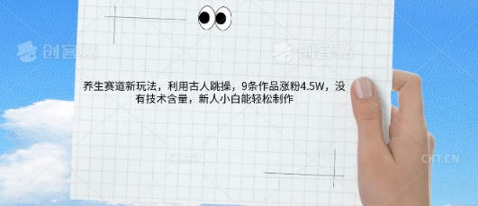 AI养生赛道新玩法,10条作品涨粉5.2W,操作简单,新人小白能轻松制作-逐梦终点站