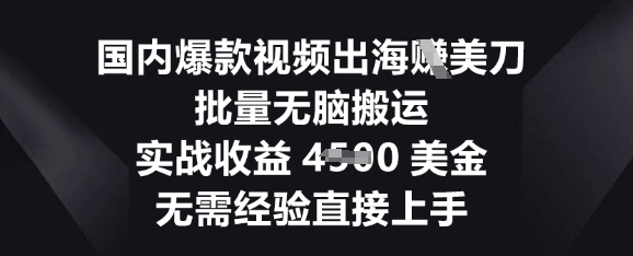 国内爆款视频出海挣美刀,批量无脑搬运,实战收益4.5k,无需经验直接上手-逐梦终点站
