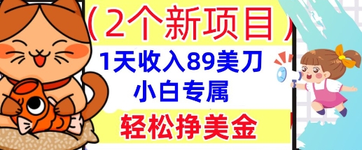 2个新项目,轻松挣美金, 1天收入89美刀,小白专属,干货分享-逐梦终点站