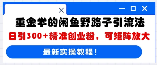 重金学的闲鱼野路子引流法,日引300+精准创业粉,可矩阵放大-逐梦终点站
