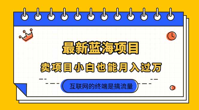 (14289期)2025年最新蓝海项目,卖项目小白也能月入过万-逐梦终点站