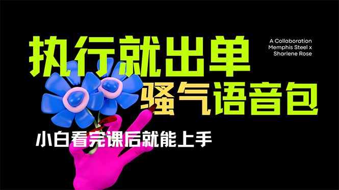 (14170期)爆火全网的开车导航骚气语音包,只要执行就出单,小白看完课程就能实操...-逐梦终点站