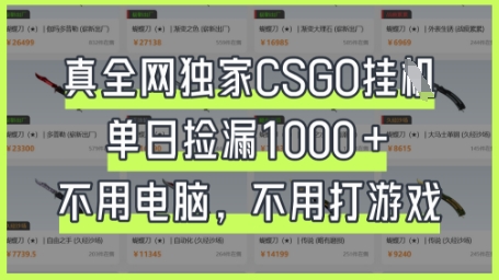 真全网独家CSGO挂G，单日捡漏1k+【揭秘】-逐梦终点站