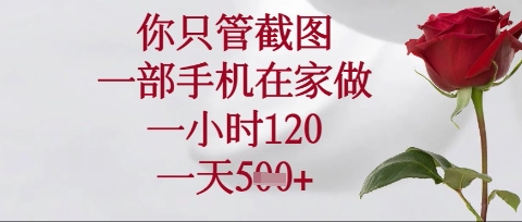 你只管截图，一部手机在家操作，一小时120.一天5张【揭秘】-逐梦终点站